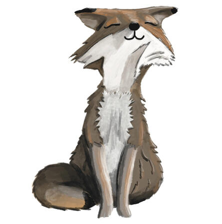 fox fox